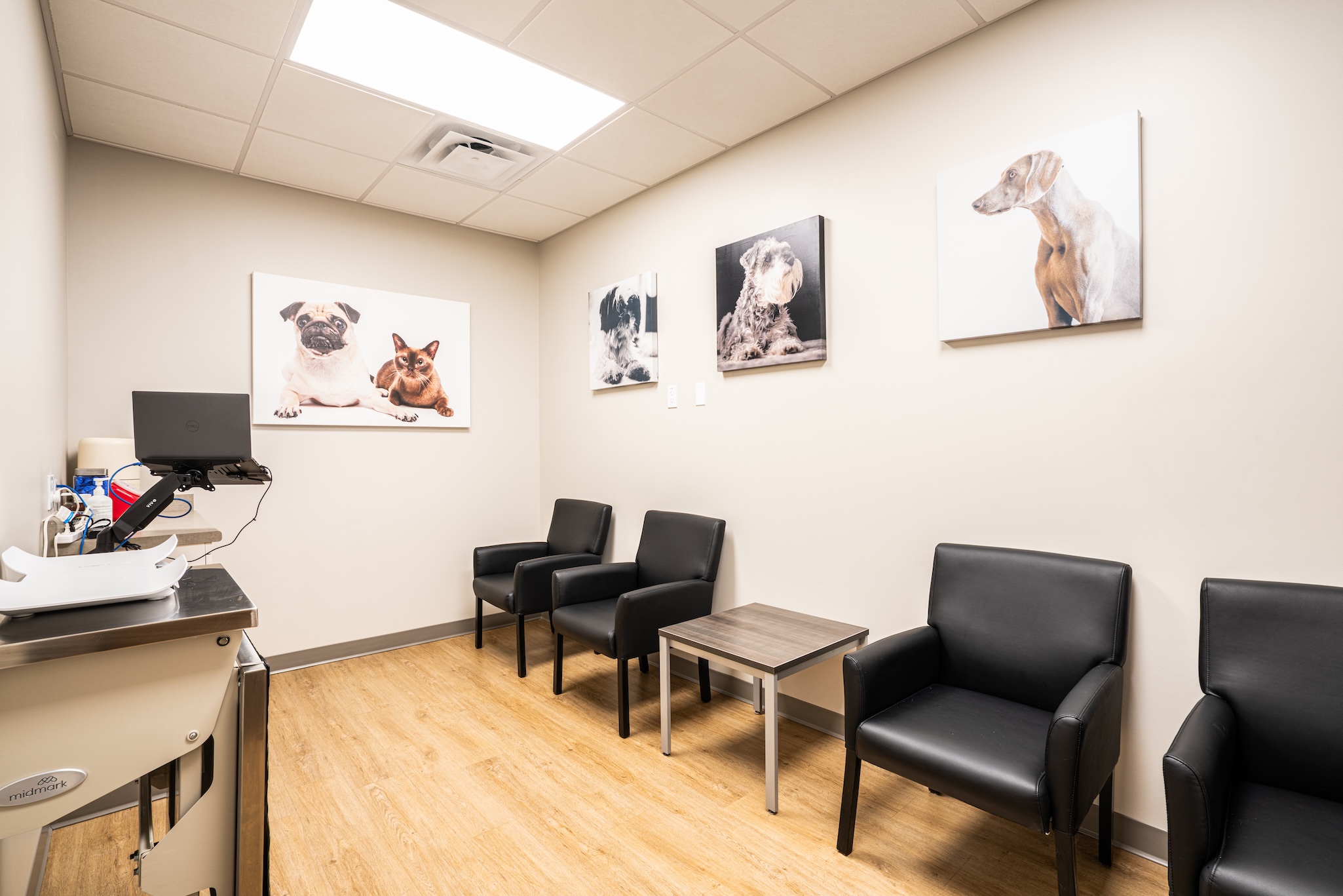 LongmontVetClinic-13